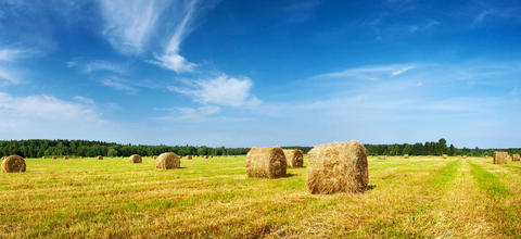   Gestion agricole à Orthez et Gan, Landes